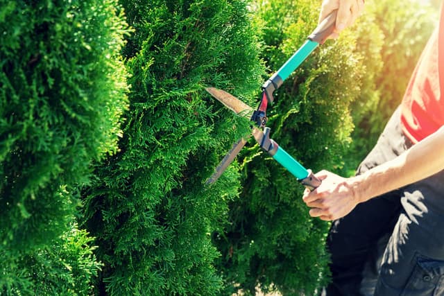 4 Tips For Sustainable Lawn Care image