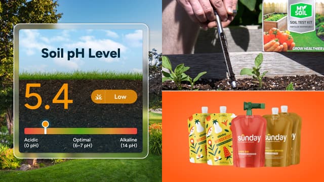 testing your soil