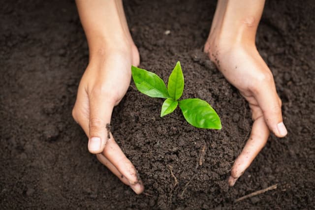 Healthy Soil Checkup image