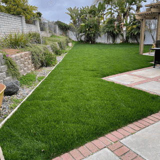 Customer-submitted image of their lawn